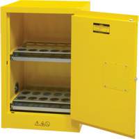 Flammable Aerosol Storage Cabinet, 12 gal., 1 Door, 23" W x 35" H x 18" D Par Equipment