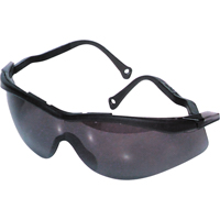 North<sup>®</sup> The Edge™ Safety Glasses, Smoke Lens, Anti-Fog/Anti-Scratch Coating, CSA Z94.3 SH061 | Par Equipment