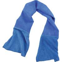 Chill-Its 6604 Multi-Purpose Cleaning and Cooling Towel, Blue Par Equipment