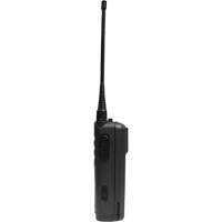 Radio bidirectionnelle portable sans affichage de la série CP100d SHC308 | Par Equipment