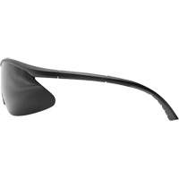 Banraj Safety Glasses, Smoke Lens, Anti-Scratch Coating, ANSI Z87+/CSA Z94.3/MCEPS GL-PD 10-12 SHJ963 | Par Equipment