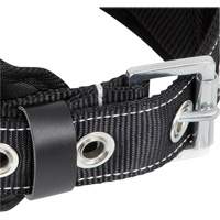 WB-6010-S Safety Restraint 1 D-Ring Belt with Padded Lumbar Support - Small Par Equipment