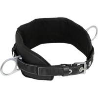 WB-6020-S Safety Positioning 2 Side D-Rings Belt with Padded Lumbar Support - Small Par Equipment