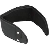 WB-6006 Padded Lumbar Support for Belt - Universal Par Equipment