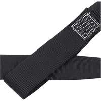 CAS4-4 Ancrage en boucle 4" avec anneau en D, Chaîne, Usage Temporaire Par Equipment