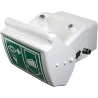 Eye/Face Wash, Wall-Mount Installation, Plastic Bowl Par Equipment