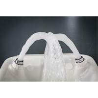 Eye/Face Wash, Wall-Mount Installation, Plastic Bowl Par Equipment