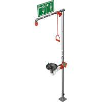 Combination Shower with Open Stainless Steel Bowl & Top Inlet, Pedestal Par Equipment