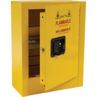 Mini Flammable Safety Cabinet, 2 Gal., 1 Door, 17" W x 22" H x 8" D Par Equipment
