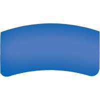 Lentille ext&eacute;rieure Bullard GenVX PETG Par Equipment