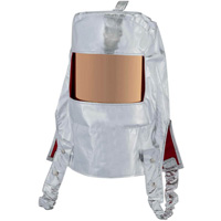 Heat Reflective Hood with Clear Gold Window Par Equipment