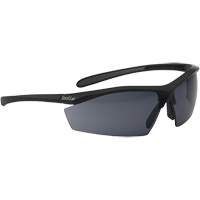 Sentinel Ballistic Protection Safety Glasses, Smoke Lens, Anti-Fog/Anti-Scratch, ANSI Z87+ Par Equipment