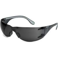 Adapt Lite Safety Glasses, Smoke Lens, Anti-Fog/Anti-Scratch, ANSI Z87+/Meets/Exceeds CSA Z94.3 Par Equipment