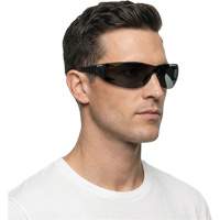 Adapt Lite Safety Glasses, Smoke Lens, Anti-Fog/Anti-Scratch, ANSI Z87+/Meets/Exceeds CSA Z94.3 Par Equipment