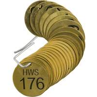 Brass Numbered "HWS" Valve Tags SX754 | Par Equipment