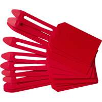 Blank Plastic Lock-On Tags, Plastic, 3-1/4" W x 5-4/5" H, Blank Par Equipment