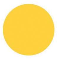 Round Write-On Labels, Circle, 3" L x 3" W, Yellow Par Equipment