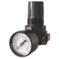 Mini Regulators, 1/4" NPT, 165 PSI Max. PSI, Modular Par Equipment