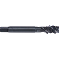 45° Spiral Flute Tap, High Speed Cobalt, 6-32 Thread, 2" L Par Equipment