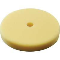 Polishing Pad, 7" Dia. Par Equipment