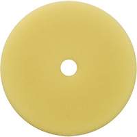 Polishing Pad, 7" Dia. Par Equipment
