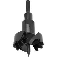 Self-Feed Bit, 4-1/8" Par Equipment