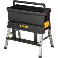Storage Step Stool, 11-3/5" W x 25-1/5" D x 11-1/3" H, Black Par Equipment