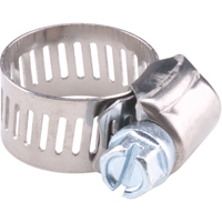 Hose Clamps - Stainless Steel Band & Zinc Plated Screw, Min Dia. 8-3/4", Max Dia. 10-3/4" TLY189 | Par Equipment