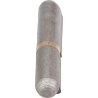 Weld-On Hinge, 0.315" Dia. x 1.969" L, Mild Steel w/Fixed Steel Pin TTV434 | Par Equipment