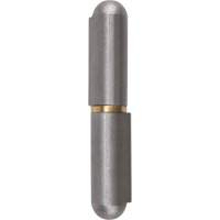Weld-On Hinge, 0.453" Dia. x 2.756" L, Mild Steel w/Fixed Steel Pin TTV435 | Par Equipment