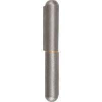 Weld-On Hinge, 0.63" Dia. x 4.724" L, Mild Steel w/Fixed Steel Pin TTV440 | Par Equipment