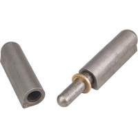 Weld-On Hinge, 0.63" Dia. x 4.724" L, Mild Steel w/Fixed Steel Pin TTV440 | Par Equipment