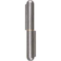Weld-On Hinge, 0.787" Dia. x 5.906" L, Mild Steel w/Fixed Steel Pin TTV442 | Par Equipment