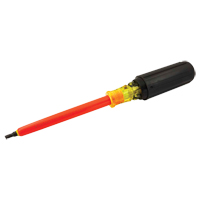 Square Screwdriver Par Equipment