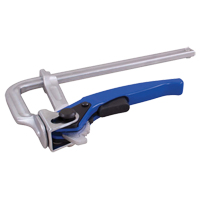 Lever L - Clamp, 8" (203 mm), 775 lbs. Clamp Force TYQ482 | Par Equipment