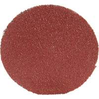 Roloc Disc 361F, 1-1/2" Dia., P100 Grit, Aluminum Oxide Par Equipment
