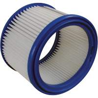 Vacuum Filter, Cartridge/Hepa, Fits 1 US gal. UAG068 | Par Equipment