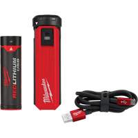 Trousse d'alimentation et de chargeur USB Redlithium<sup>MC</sup>, 4 V, Lithium-ion UAG279 | Par Equipment