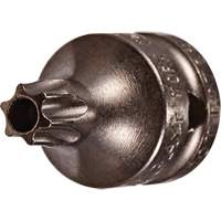 Embout &agrave; ins&eacute;rer, Torx inviolable, 8 x 3/4" lo, Prise 1/4" Par Equipment