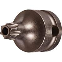 Embout &agrave; ins&eacute;rer, Torx inviolable, 25 x 1" lo, Prise 3/8" Par Equipment