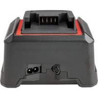 Chargeur de batterie 2,5 Ah et 5,0 Ah, 120 V, Lithium-ion Par Equipment