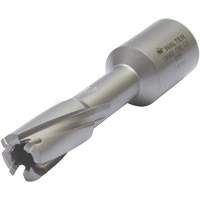 Core Cut Annular Cutter with Weldon Shank, 12 mm Diameter, Carbide, 30 mm Depth of Cut, 3/4" Shank Par Equipment