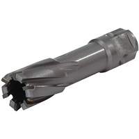 Universal Shank Annular Cutter, 1/2" Diameter, Carbide, 1" Depth of Cut, 3/4" Shank Par Equipment