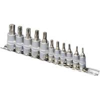 SS1438-11T Jeu de douilles chrom&eacute;es, Torx, Prise 1/4"/3/8", 10 mr Par Equipment