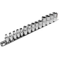 SS314TS  Standard External Socket Sets, Torx&reg;, 1/2"/1/4"/3/8" Drive, 14 Pcs Par Equipment