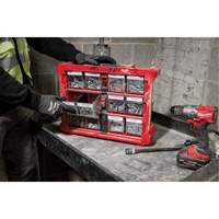 PACKOUT Tilt Bin Organizer, 15-1/5" x 19-7/10" x 6-7/10", Black/Red Par Equipment