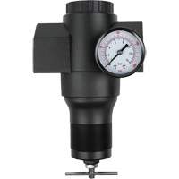 Aluminum Regulator, 1-1/2" NPT, 300 psi Max. PSI, In Line Par Equipment