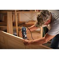 Colt Electronic Variable-Speed Palm Router Par Equipment