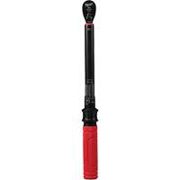 Cl&eacute; dynamom&eacute;trique, &agrave; cliquer, Entraînement 3/8" carr&eacute;, 20 - 100 lb-po/27,1 - 135,6 Nm Par Equipment
