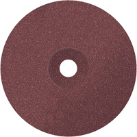 Coolcut Sanding Disc, Aluminum Oxide, 24, 7" Dia x 7/8" Arbor Par Equipment